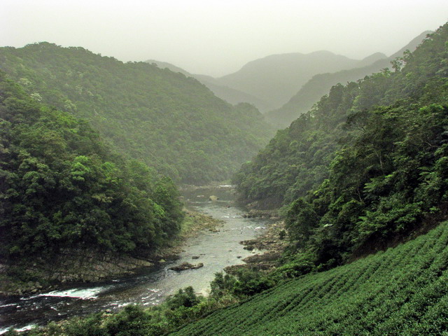 大舌湖溪谷 img_6754b