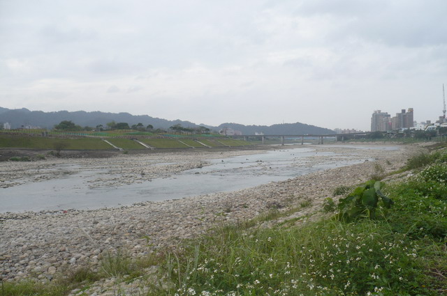 碧潭边"浮不起的阿桥"